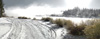 Landscape road,Snow,Scenic