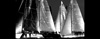Sailing Yacht Sailboat,Fleet